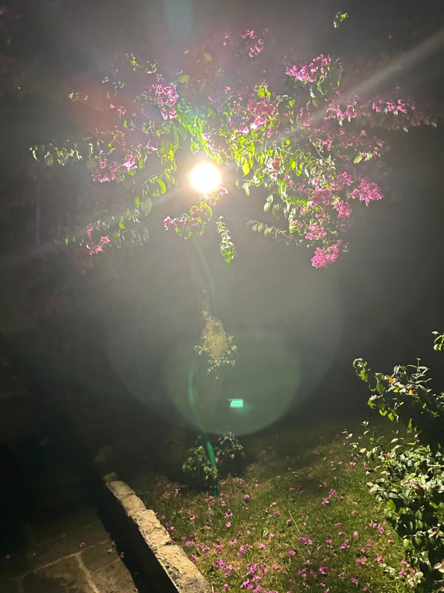 Villa Solar Nossa Senhora Da Conceicao Capelas Esterno foto